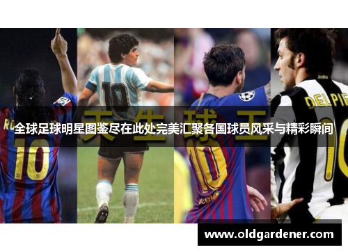 全球足球明星图鉴尽在此处完美汇聚各国球员风采与精彩瞬间