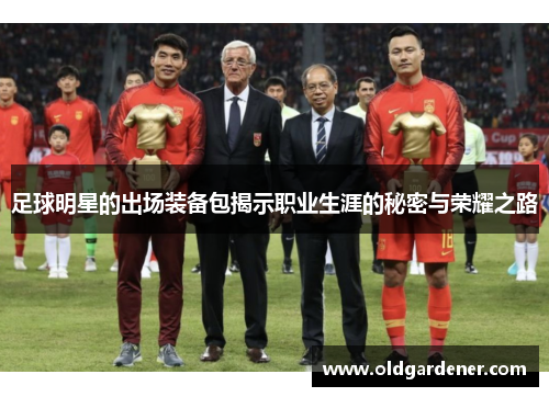 足球明星的出场装备包揭示职业生涯的秘密与荣耀之路