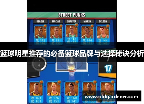 篮球明星推荐的必备篮球品牌与选择秘诀分析