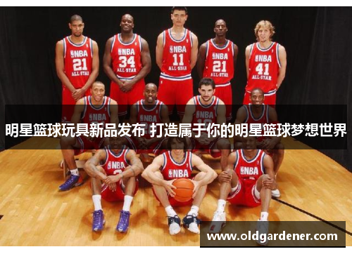 明星篮球玩具新品发布 打造属于你的明星篮球梦想世界