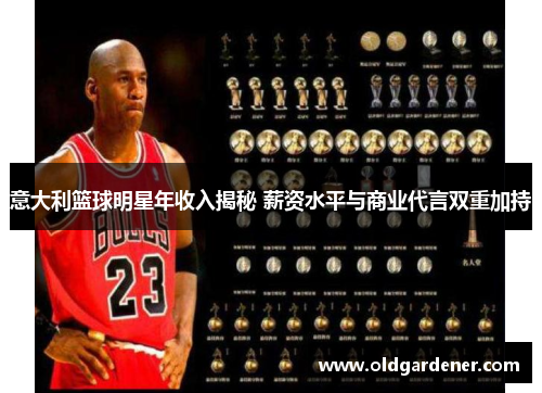意大利篮球明星年收入揭秘 薪资水平与商业代言双重加持