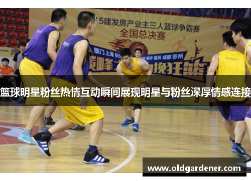 篮球明星粉丝热情互动瞬间展现明星与粉丝深厚情感连接