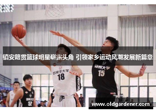 镇安籍贯篮球明星崭露头角 引领家乡运动风潮发展新篇章