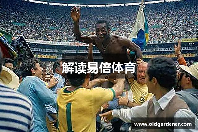 解读易倍体育